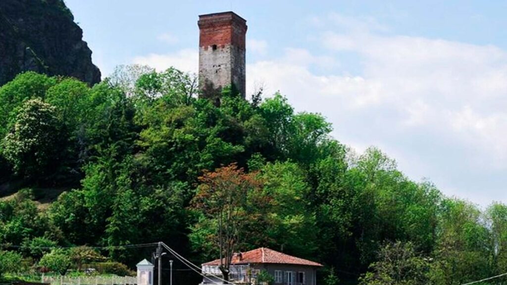 Avvocato Bellofatto | Trana